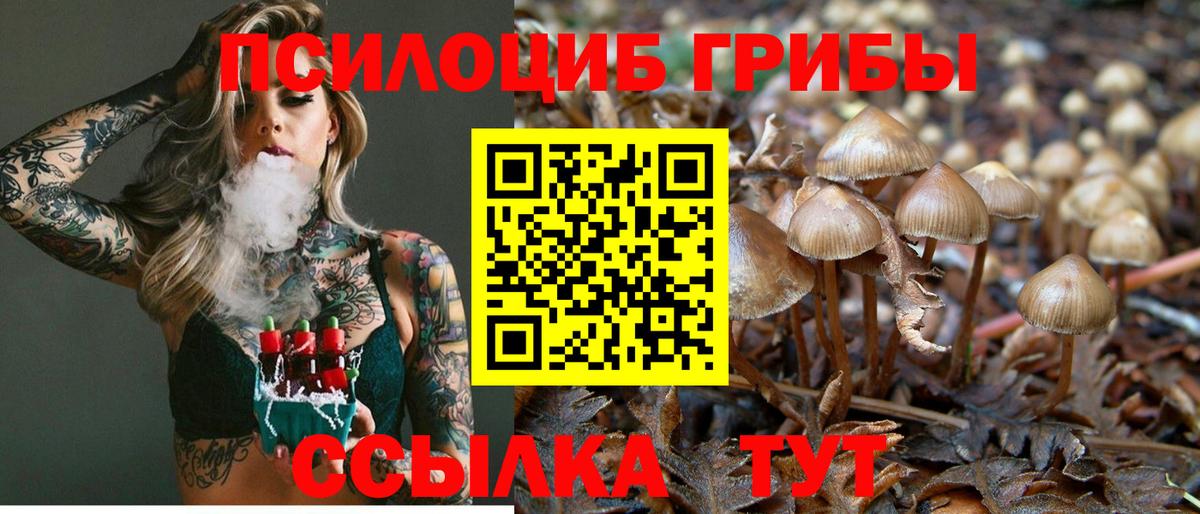 наркотики  Вход с VPN  Комсомольск-на-Амуре  Псилоцибиновые грибы Psilocybe  Псилоцибиновые грибы Magic Shrooms 